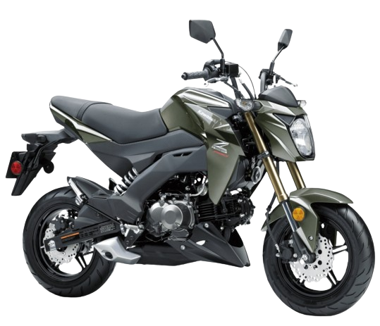 Discover the Latest Fashion Trends